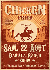 chicken fried